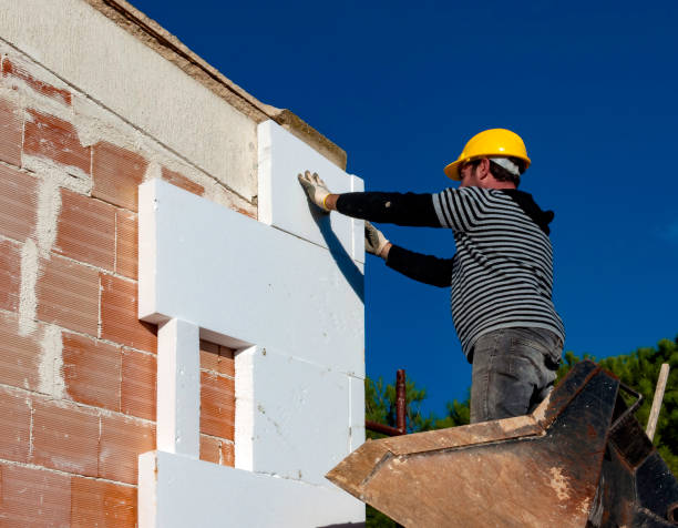 Best Commercial Insulation in Carlisle, IA