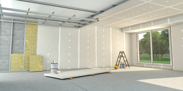 Best Insulation Maintenance and Repair in Carlisle, IA