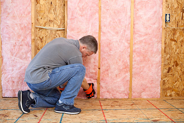 Best Residential Insulation in Carlisle, IA